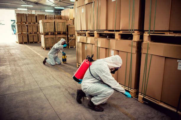 Best Local Pest Control Services  in Manassas Park, VA