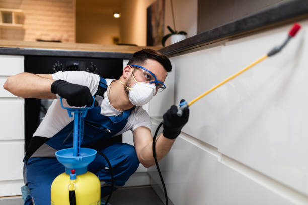 Best Affordable Pest Control Services  in Manassas Park, VA