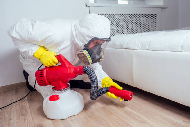 Reliable Manassas Park, VA Pest Control Solutions