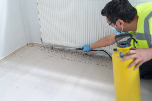 Best Pest Control Near Me  in Manassas Park, VA